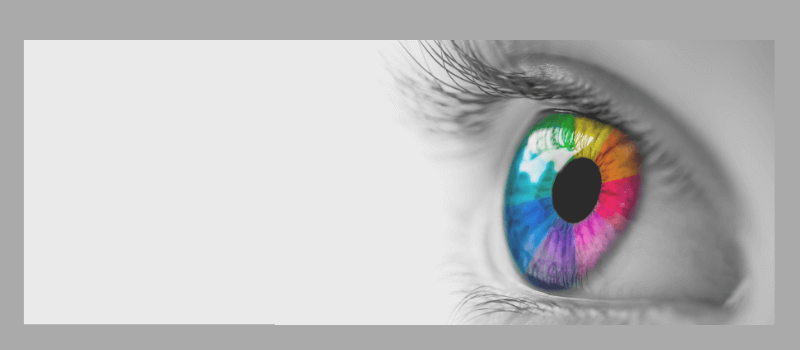 visual.net